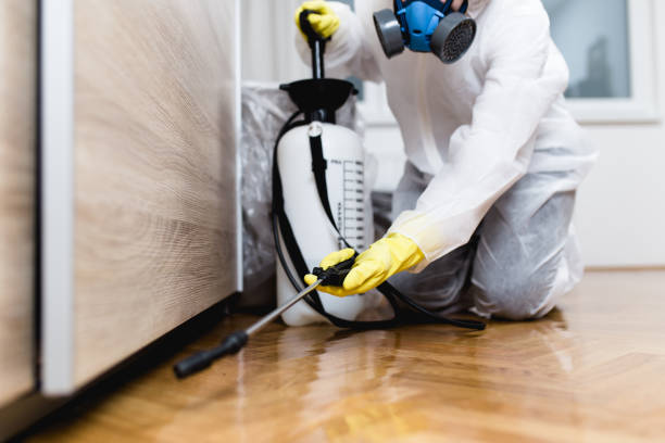 Best Insect Control  in Greensboro, MD