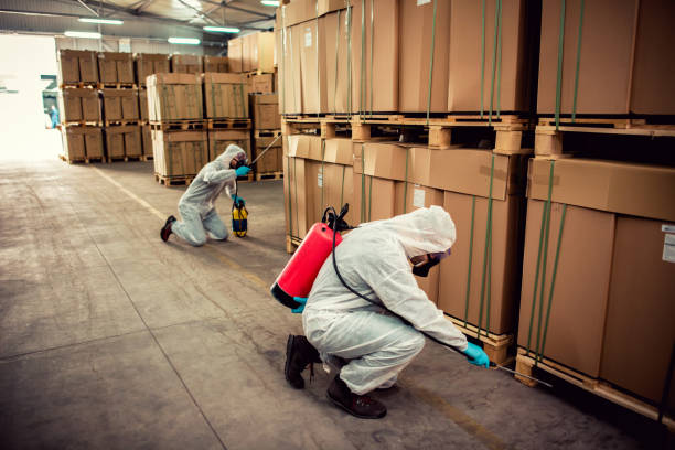 Best Pest Prevention Services  in Greensboro, MD