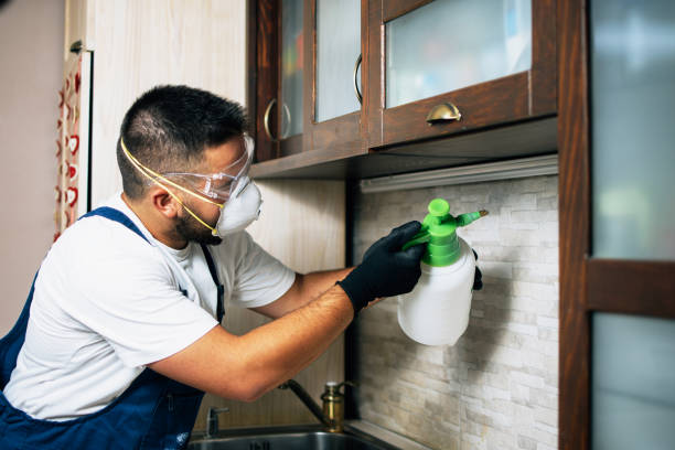 Best Best Pest Control Companies  in Greensboro, MD