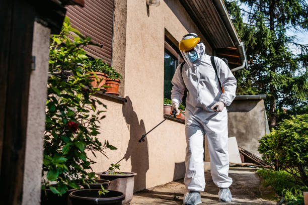 Flea Control Services in Greensboro, MD
