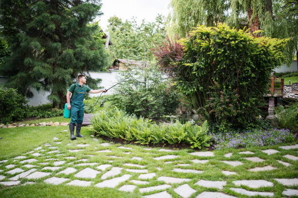 Best Pest Control Near Me  in Greensboro, MD