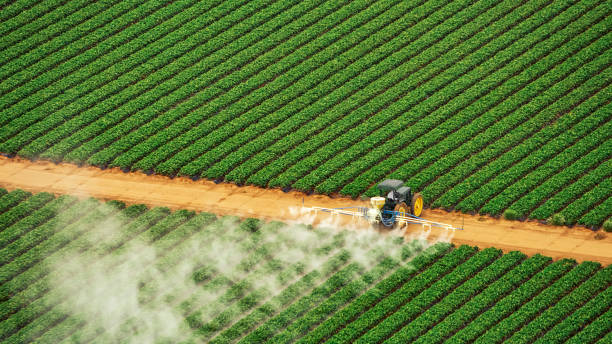 Best Mosquito Control Services  in Greensboro, MD
