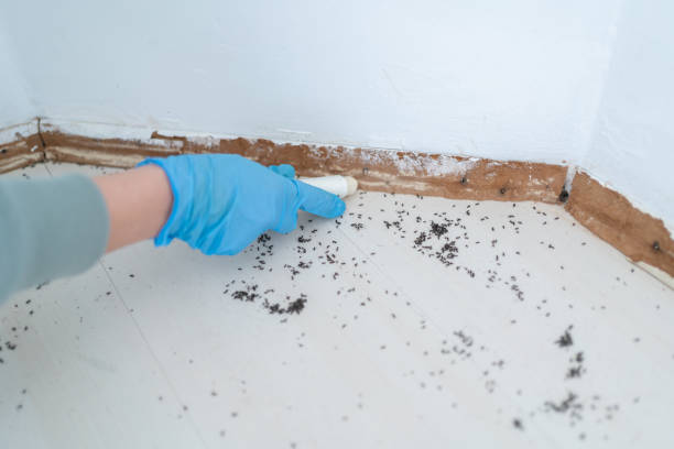 Best Pest Prevention Services  in Greensboro, MD